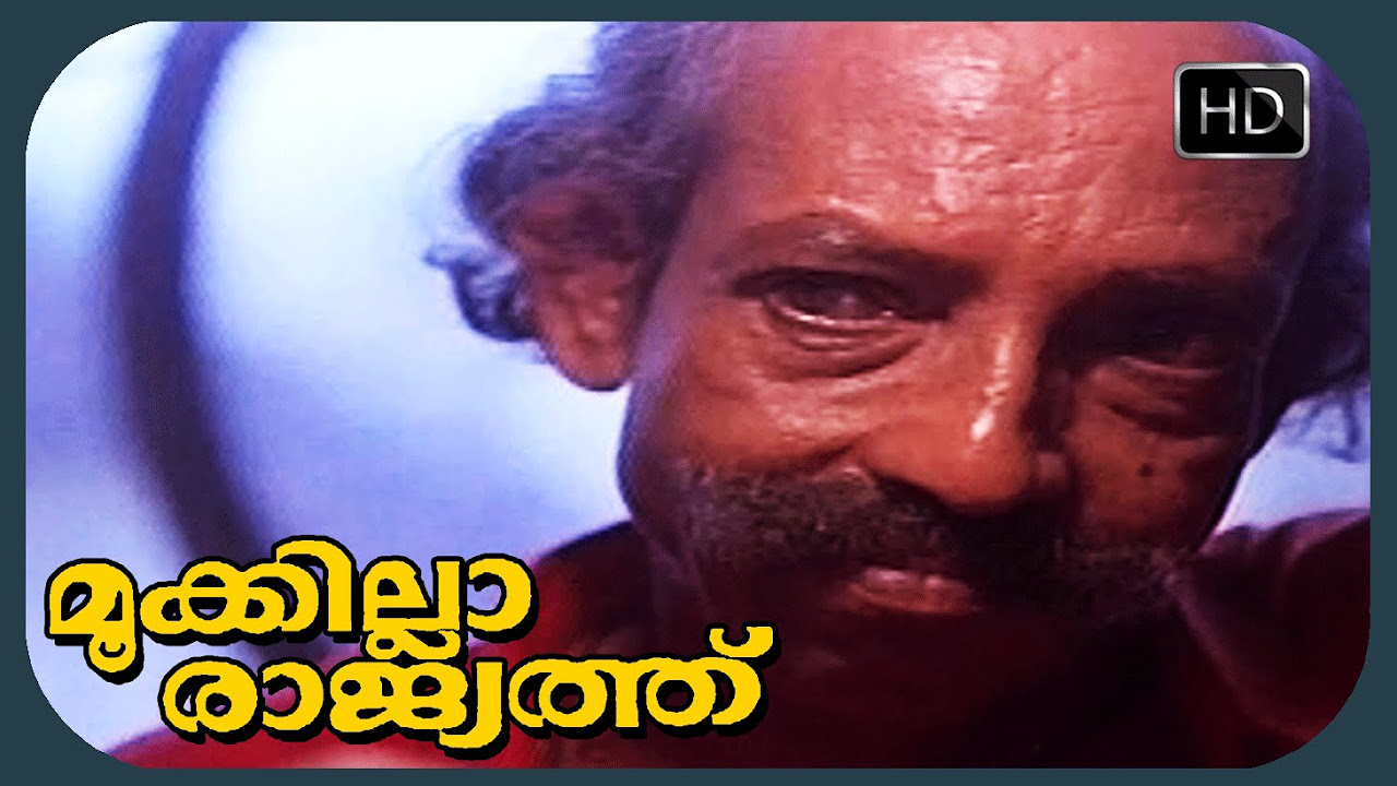 Malayalam Movie Mookilla Rajyathu scene  Funny Bheem singh