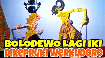 LAGI IKI☑️Bolodewo diajar werkudoro mergo bolodewo ngetapne kurowo kon ngroyok werkudoro