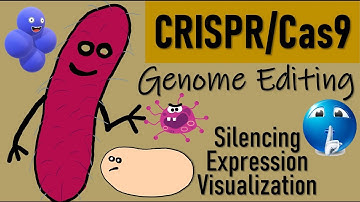 CRISPR cas9 system II Genome Editing tool