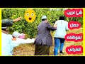 شاهد الحاج زموط مع موظفه الضرائب وشي غير متوقع من عكوش وعلواني وحبيشه حلقه رقم ٢