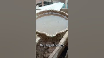 The Sludge Dewatering Process #piledrivingwastewater