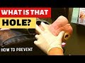 HOW WE TREAT DIABETIC WOUNDS