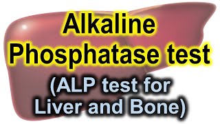 Alkaline phosphatase test | ALP test for liver and bones | ALP test