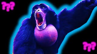 17 Gibbon Screaming sound variation