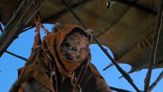 Ewoks Hang Glider