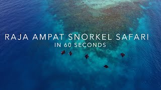 Raja Ampat Snorkel Safari In 60 Seconds
