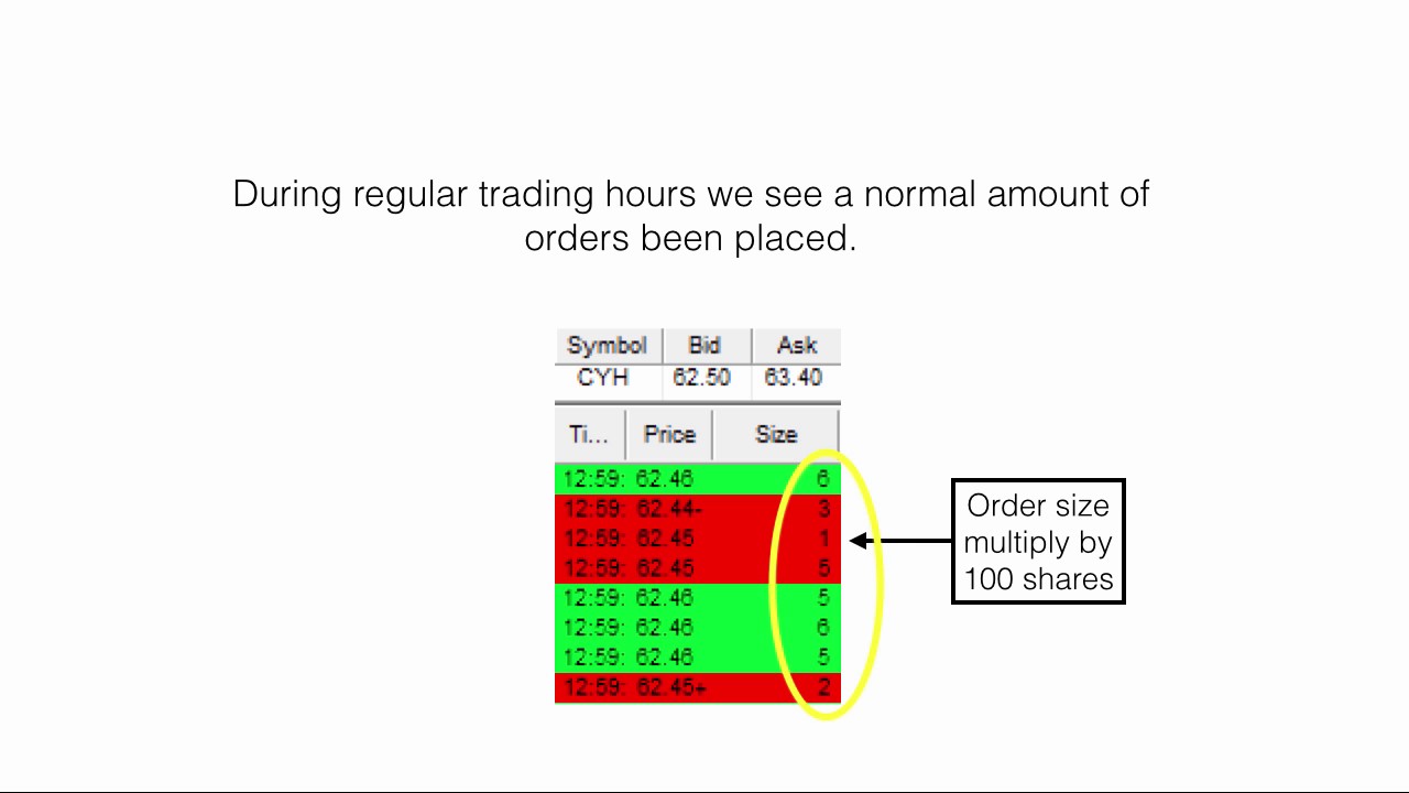 Best Stock Trading Schools