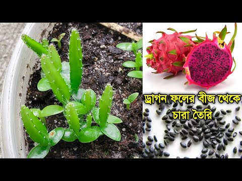 ভিডিও: নতুন স্থানান্তর: ভবিষ্যতে গ্লোনাসের জন্য কী অপেক্ষা করছে