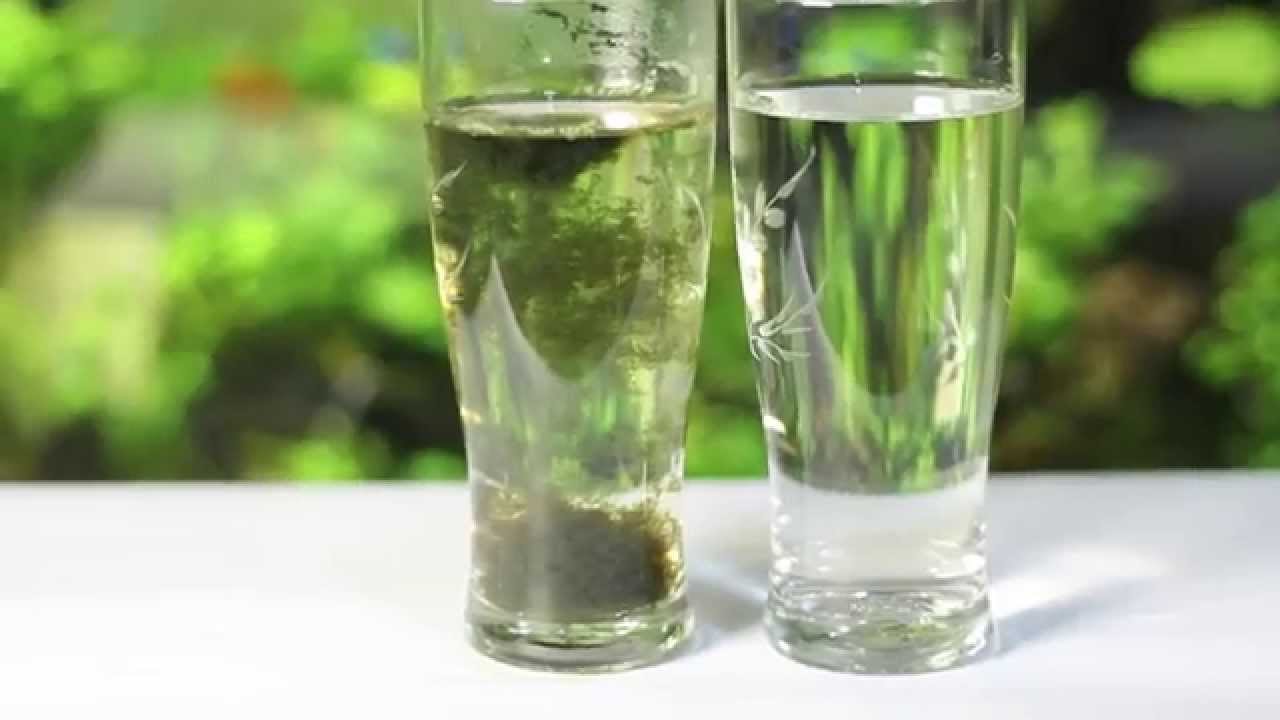 Air minum  yang layak dikonsumsi YouTube