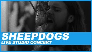 Sheepdogs | Live In Studio