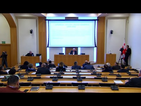 სახელმწიფო შესყიდვების მართვის აუდიტის ანგარიშის განხილვა პარლამენტში