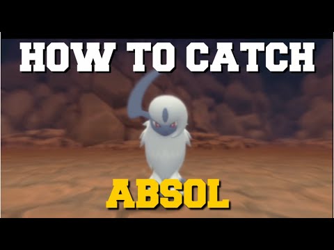 HOW TO CATCH ABSOL IN POKEMON BRILLIANT DIAMOND AND SHINING PEARL!