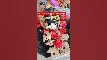 कार्तिक के महीने में कोई भी एक नियम बना लो #panditpradipmishra#upay#shorts#ytshorts#viralvideo#aaj#🙏