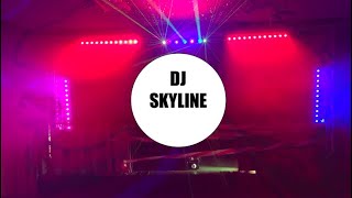 Ayliva - Hässlich (DJ SKYLINE) Remix (Offizielles Video)