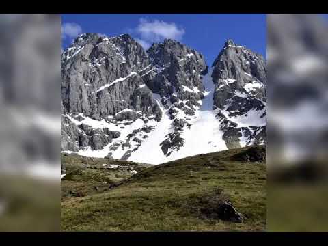 დავით ჭალიძე. \"ამოდის ნათდება\". ავტორი-მედიკო კარტოზია❤