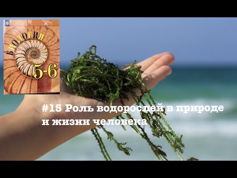 Биология 5 класс (Пасечник) аудио Параграф 15 «Роль водорослей в природе и жизни человека»