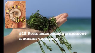 Биология 5 класс (Пасечник) аудио Параграф 15 «Роль водорослей в природе и жизни человека»