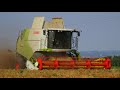 *BRAND NEW* Claas Tucano 430 & Maxflex 620 - Peas harvesting 2019