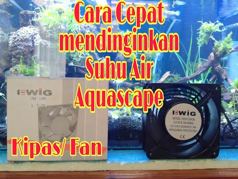 Video: Cara Menyejukkan Air Akuarium Anda