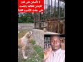 مشهد يجسد قصيده الراحل صدام حسين حينما قال تبقى الأسود أسودا والكلاب كلابا مشهد يجسد قصيده الراحل صدام حسين حينما قال تبقى الأسود أسودا والكلاب كلابا