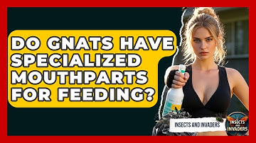 Do Gnats Have Specialized Mouthparts For Feeding? - Insects and Invaders