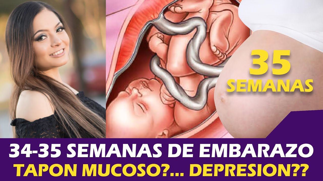 19 semanas de embarazo donde esta ubicado el bebé