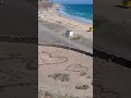 Canarias,Playa Esquinzo-Butihondo, Fuerteventura...