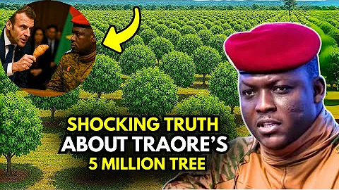 INSANE! How Burkina Faso Planted 5 Million Trees in Just 1 Hour | Unbelievable Transformation