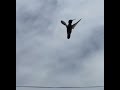 Humming Bird Greetings With The Lovely Song Hi Hey Hello By The Very Talented Lindsay Müller Humming Bird Greetings With The Lovely Song Hi Hey Hello By The Very Talented Lindsay Müller