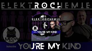Elektrochemie - You&#39;re My Kind #getphysicalmusic  #meowmusicdb #minimaltechno #shorts
