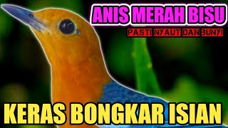 ANIS MERAH GACOR FULL ISIAN TEMBAKAN MEWAH‼️