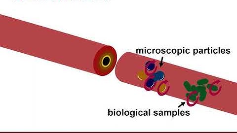 Generation of vortex beams by spiral slit using digital micromirror device by Roger Jamilarin, Jr.