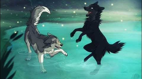 Anime Wolves~Fireflies