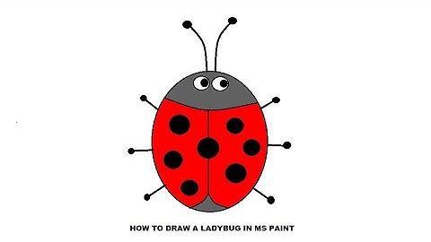 how to draw in computer . easy drawing a ladybug