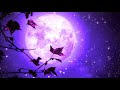 Sleep Deep Meditation Music 528Hz | Energy Cleanse | Calming Sleep Healing | Delta Waves Healing