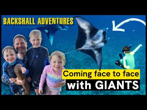 Up Close with Giant Manta Rays – My Kids’ Reaction Says It All