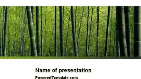 Bamboo PowerPoint Template by PoweredTemplate.com
