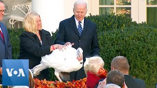 Biden Grants Thanksgiving Pardons to Two Turkeys