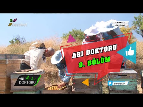 Arı Doktoru 9.