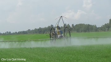 Máy Phun Thuốc Trên Ruộng Lúa Có Mệnh Danh Thần Tốc Ở Miền Tây