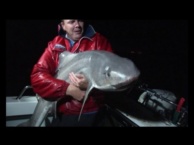 SNAPPER FISHING on lures - triple hook-up 14.5kg giants! 