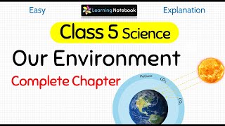 Class 5 Science Our Environment