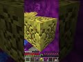 I build minecraft most Mind blowing mazes #lockdownlife #minecraft #shorts #fypシ゚viral #fypviral
