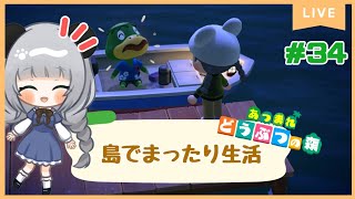 #34かっぺい島に行けるようになったし突撃したい！のんびり島くらしをするのだ【＃あつまれどうぶつの森】