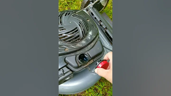 This Craftsman Mower Isn't Starting Unless I Put Gasoline Into the Carb But Then It Stops
