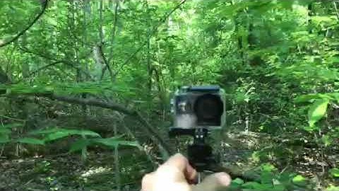 Bigfoot tree structures territory markers