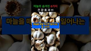 마늘의 숨겨진 6가지 건강효과!#마늘효능 #GarlicPower #면역력폭발 #혈관청소 #노화방지 #Superfood #HealthyLife #HeartHealth