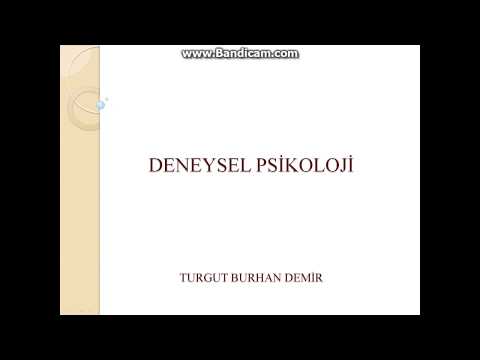 Video: Deneysel Psikoloji Nedir