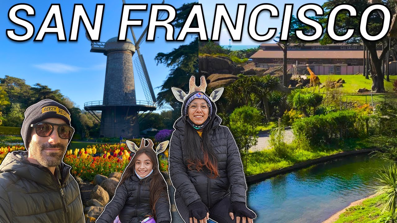 SF ZOO TOUR  + The Best Pizza in San Francisco + Dutch Windmill