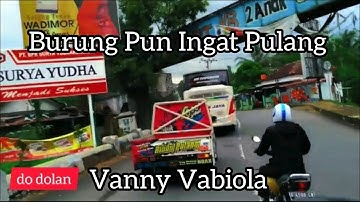 BURUNG PUN INGAT PULANG - NIA DANIATY COVER VANNY VABIOLA